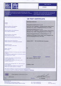 船型開(kāi)關(guān)R系列CB證書(shū)