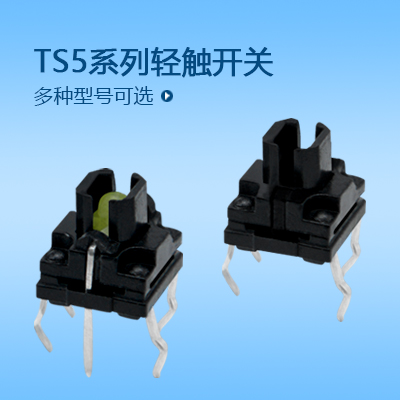 帶燈輕觸開關(guān)TS5系列